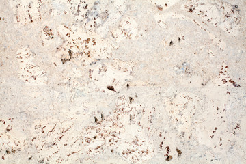 Light beige surface of the cork wood tile closeup, white and brown mottled texture background, abstract gray color decorative spotted pattern, dark stains on light backdrop, marmoreal stone art design