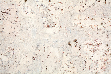 Light beige surface of the cork wood tile closeup, white and brown mottled texture background,...