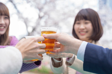 お花見　乾杯