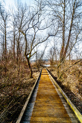 Fototapeta premium Hiking Trail from Poplar Bar to Two-bit Bar in Glen Valley Regional Park near Fort Langley, British Columbia, Canada on a nice winter day
