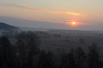 Landscape of amazing spring nature in early foggy morning on sunrise. Trees on river bank in mist on warm sunlight background. Perfect scene of Wild nature at dawn. Colorful sky over forest and river