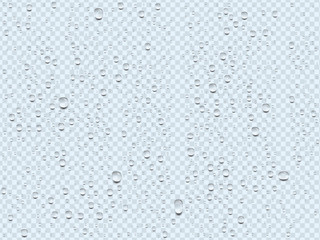 realistic transparent water drops