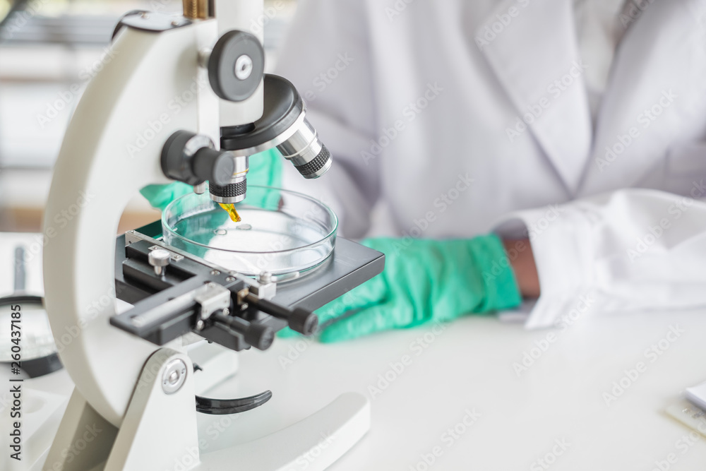 Wall mural a scientist working in laboratory with test tube microscope and solutions