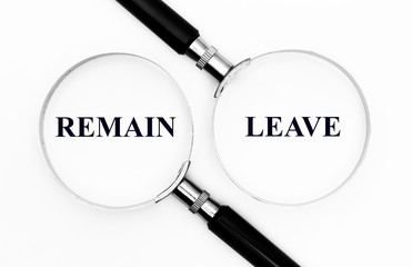 Remain or leave