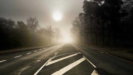 Foggy Road in Morning Sun 