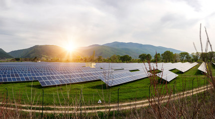 Panoramic view of solar panels, photovoltaics, alternative electricity source. View of a solar...