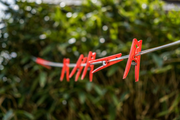Red plastic clothes pegs on a clothes line against the background of blurred green bush.