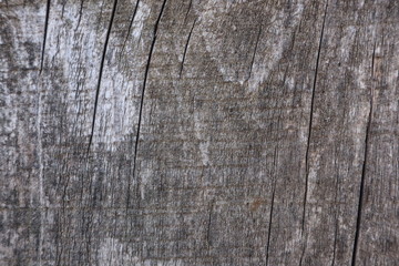 natural light wood texture background