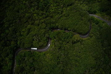 Cars cruising via jungle in Mauritius