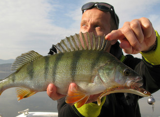 Perch fishing with lure on lake