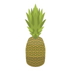 Whole pineapple icon. Isometric of whole pineapple vector icon for web design isolated on white background