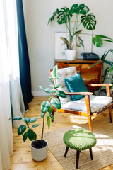 Minimalism in the interior decor. Bright modern interior with tropical greenery.