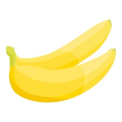 Banana branch icon. Isometric of banana branch vector icon for web design isolated on white background