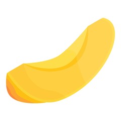 Slice apricot icon. Isometric of slice apricot vector icon for web design isolated on white background