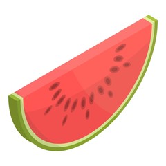 Piece of watermelon icon. Isometric of piece of watermelon vector icon for web design isolated on white background