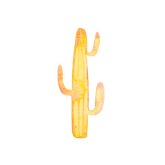 Watercolor vivid hand painted orange yellow cactus succulent illustration isolated on white