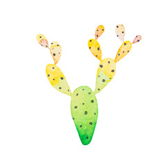 Watercolor vivid hand painted cactus succulent with black round thorns illustration isolated on white
