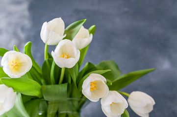 Bouquet of white tulips in a vase on a gray background. Flowers as a gift for your favorite person. Copy spce.