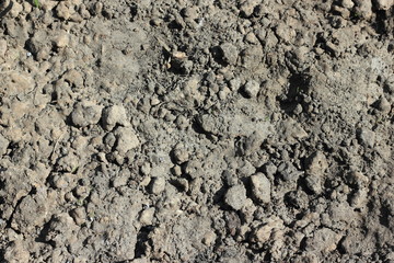 Texture of dry cracked earth soil