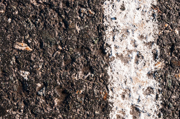 view of street pavement wet after rain with water puddles