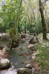 Agios Nikolaos Park Naousa Greece Europe