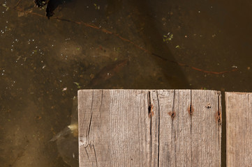 Closeup photo of wooden floor panels boardwalk, The old wooden floor