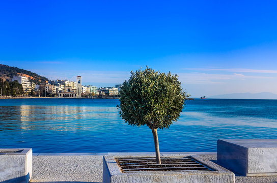 View of the harbour of Volos. A small olive tree in foreground and the church of Saint Constantine and Helen in background.