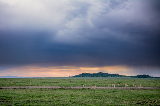 Landscape in National Park Ngorongoro