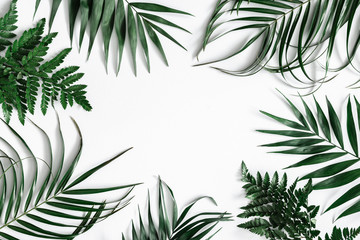 Naklejka na ściany i meble Summer composition. Tropical palm leaf on pastel gray background. Summer concept. Flat lay, top view, copy space