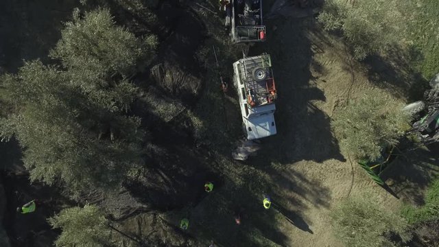 Top down shot of workers with reflective vests collecting olives from trees in olive grove, off-road car with trailer parked nearby
