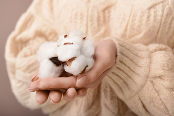 Woman holding cotton flowers, closeup