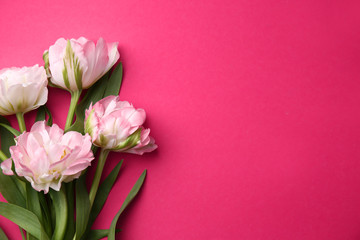 Bouquet of beautiful tulips on color background