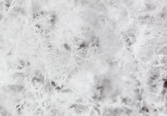 White snowflakes on nature as a background