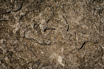 pattern and details on the surface of stone beautiful natural