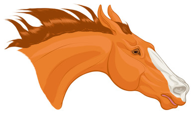 Portrait of chestnut horse craned its neck forward, laid his ears back. Head of a running steed with a blaze face marking, fluttering mane. Vector clip art for equestrian goods and show jumping clubs.