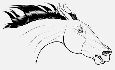 Linear portrait of horse craned its neck forward, laid his ears back. Head of a running steed with fluttering mane. Vector clip art, design element for equestrian goods and show jumping clubs.