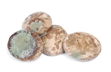 Group of moldy gingerbread cookies