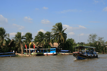 Fototapeta na wymiar River (Mekong ?) in South vietnam 