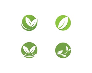 Logos of green leaf