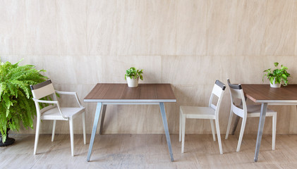 beautiful modern furniture and plant.
