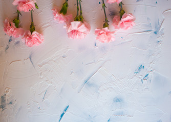  Pink flowers of carnations on a white background. Flower bouquet for a holiday