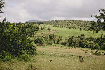 Obraz premium Landscape in Ngorongoro