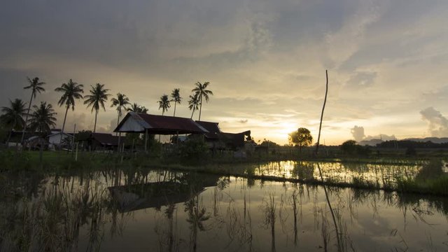 Timelapse Malays wooden kampung house with coconut trees as background at Penang, Malaysia.