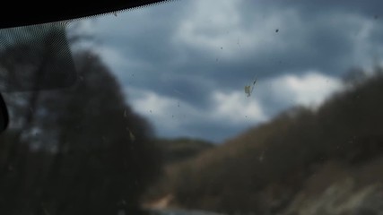 Wind shield of Mini Cooper with bugs