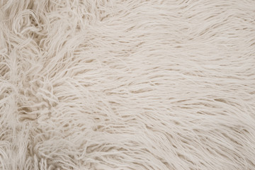 Texture of white shaggy fur.
