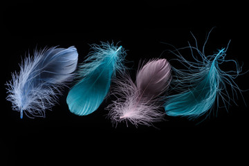 green, blue and pink light plumes in row isolated on black