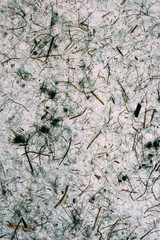 Abstract grey texture and background for design. Close up of abstract grey texture made with recycled paper. 