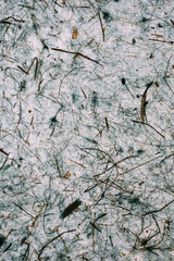 Abstract grey texture and background for design. Close up of abstract grey texture made with recycled paper. 