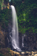 beautiful waterfalls in tropical forests