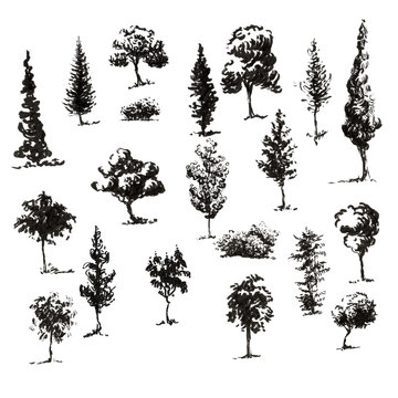 20 trees and bushes silhouettes set. Hand Drawn with ink and brush. Visible strokes.